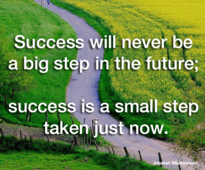 success-will-never-be-a-big-step