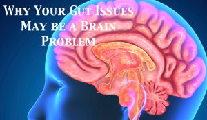why-your-gut-issues-may-be-a-brain-problem