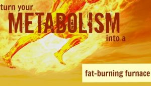 fat burning body