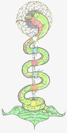 kundalini rising is a snake like energy starting from the base of the spine
