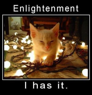 enlightenment... I have it