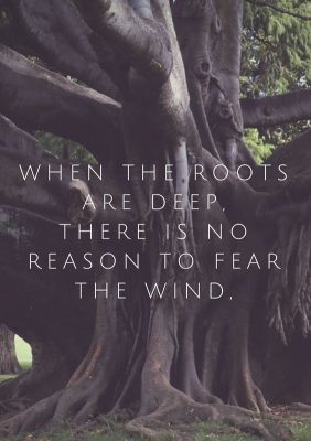 when-the-roots-are-deep