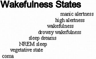 mindfulness states