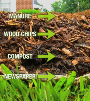 the woodchip gardening method