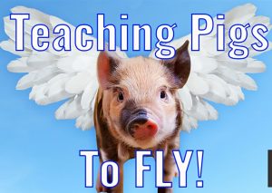 teaching pigs to fly