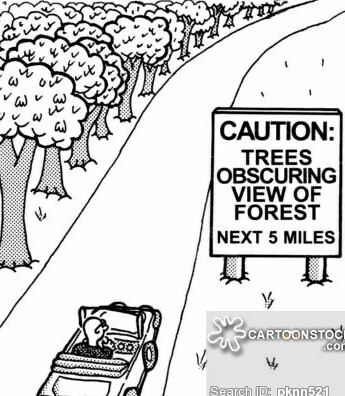 cant-see-the-forest-for-the-trees-cartoon.jpg
