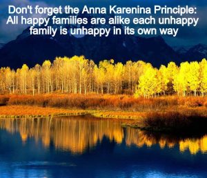 the anna karenina principle