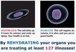 cell hydration