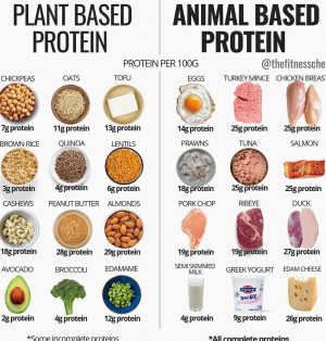 protein foods