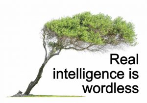 Real intelligence is wordless