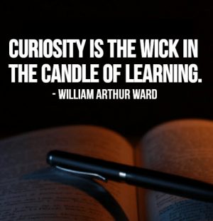 curiosity is a great motivator