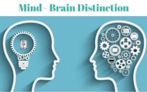 mind vs brain