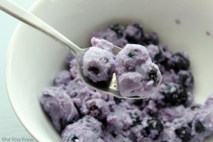 2-ingredient-blueberry-dessert-5