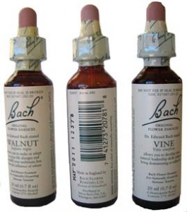Bach Flower Remedies, bach flower therapy, list of all the essences