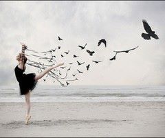 Dancing-with-Birds