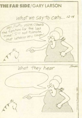 cartoon-what-we-say-to-cats