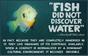 fish-did-not-discover-water