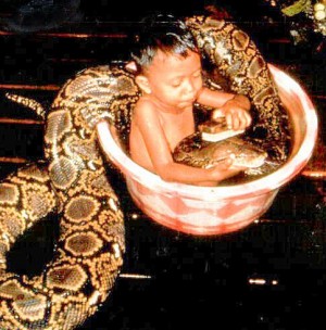 thai kid bathing with snake